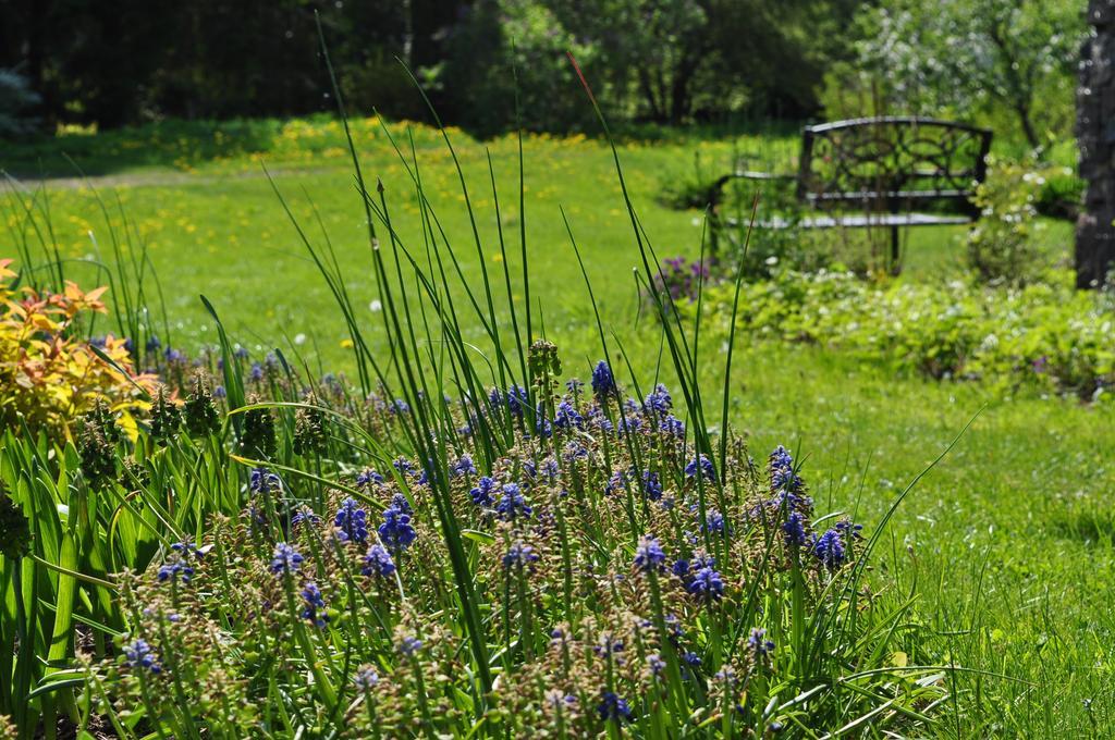 Mokko Country Hotel Palamuse Dış mekan fotoğraf