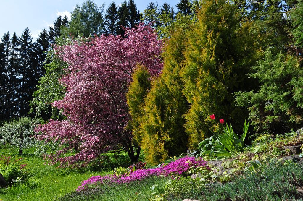 Mokko Country Hotel Palamuse Dış mekan fotoğraf